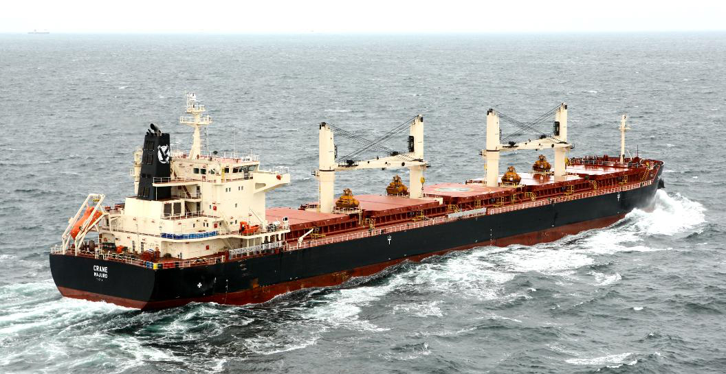 IRON ORE EXPORTS